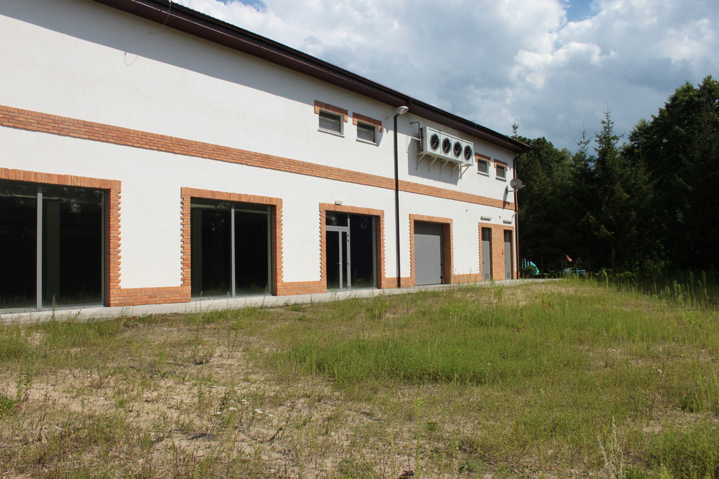 Lokal Wynajem Pszczew
