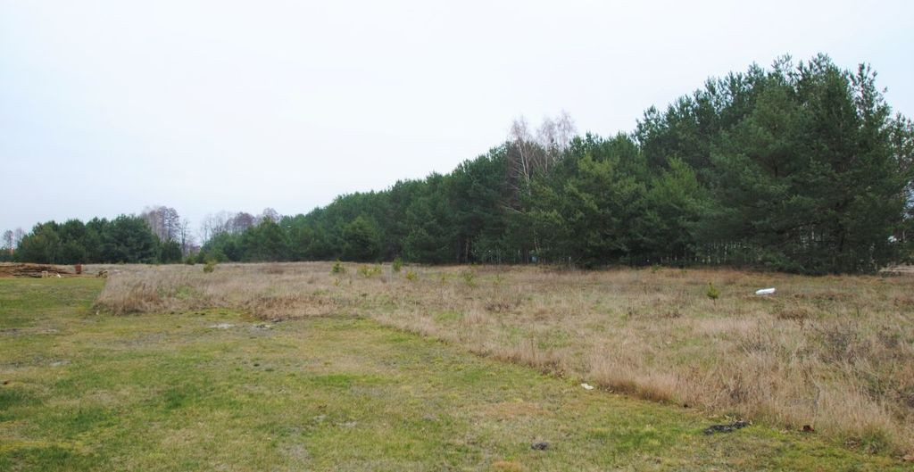 Działka Sprzedaż Glinik