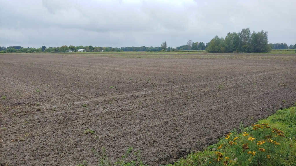 Działka Sprzedaż Gorzów Wielkopolski Zieleniec