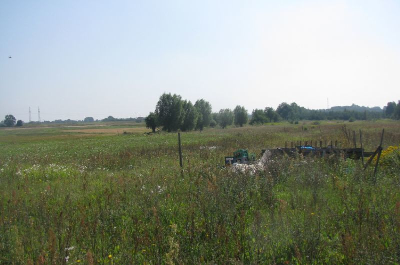 Działka Sprzedaż Myślibórz