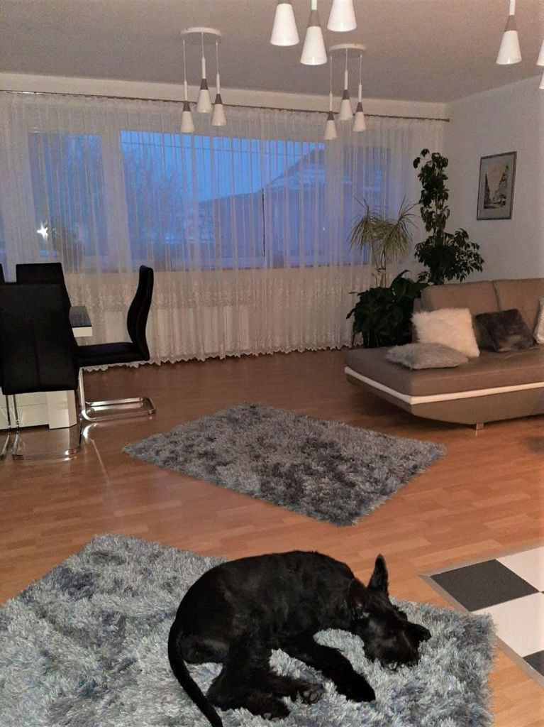 Dom Sprzedaż Różanki