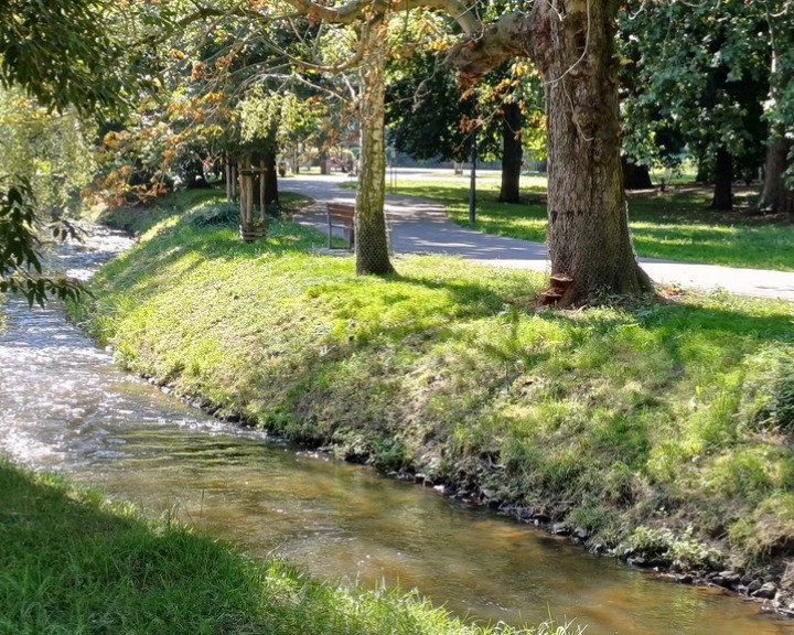 Mieszkanie Sprzedaż Gorzów Wielkopolski Centrum