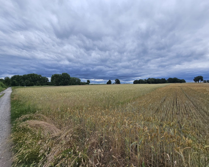 Działka Sprzedaż Wojcieszyce