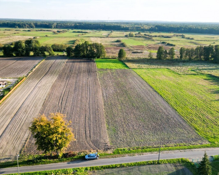 Działka Sprzedaż Ściechów