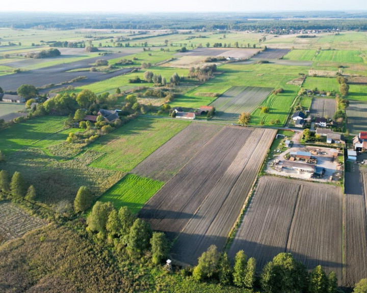 Działka Sprzedaż Ściechów