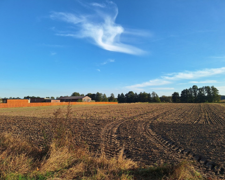 Działka Sprzedaż Ściechów