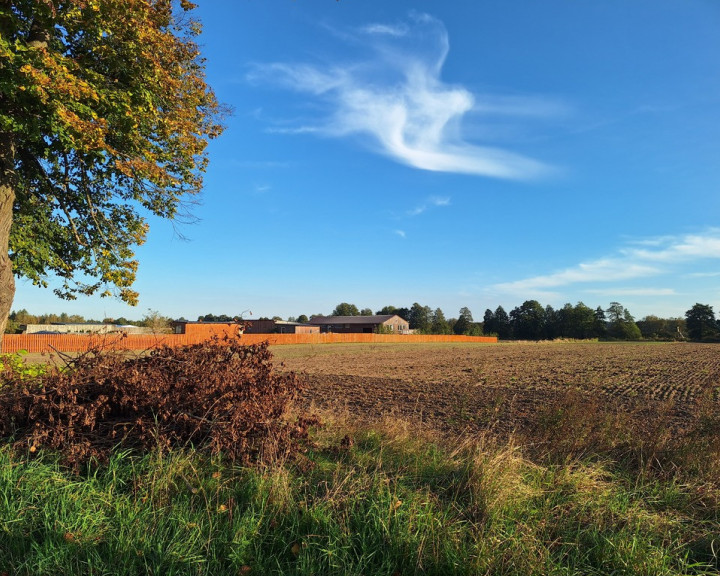 Działka Sprzedaż Ściechów