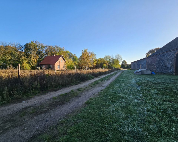 Działka Sprzedaż Trzcinna