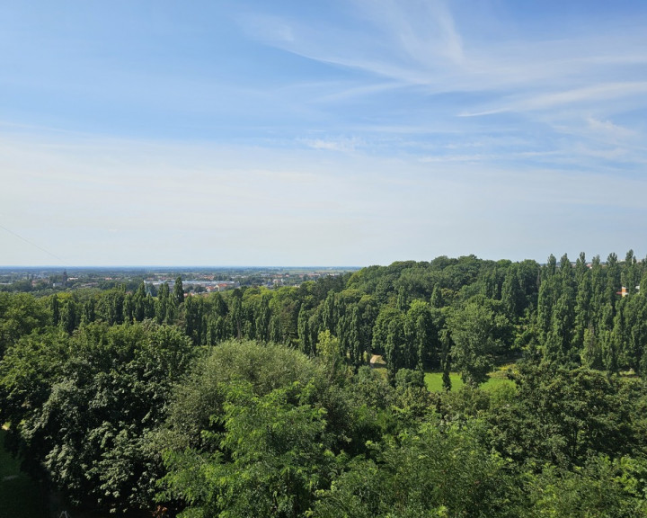 Mieszkanie Sprzedaż Gorzów Wielkopolski os. Dolinki