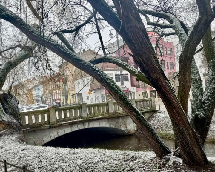 Mieszkanie Sprzedaż Gorzów Wielkopolski Centrum