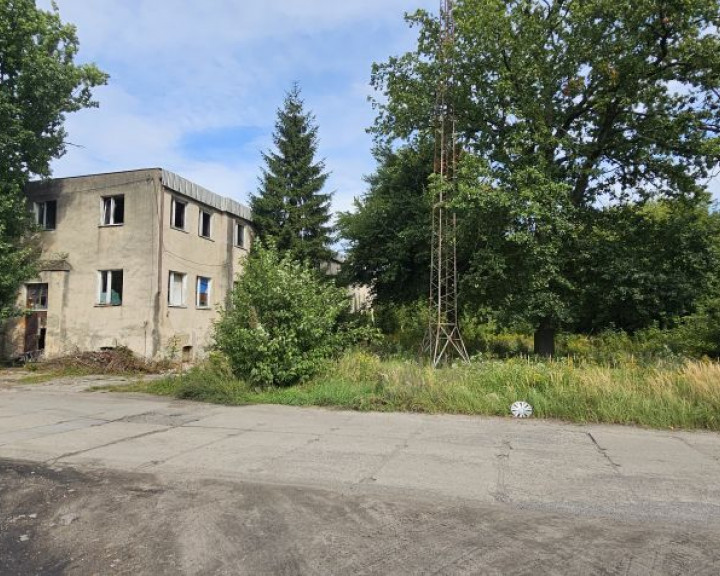 Obiekt Sprzedaż Dębno Chojeńska