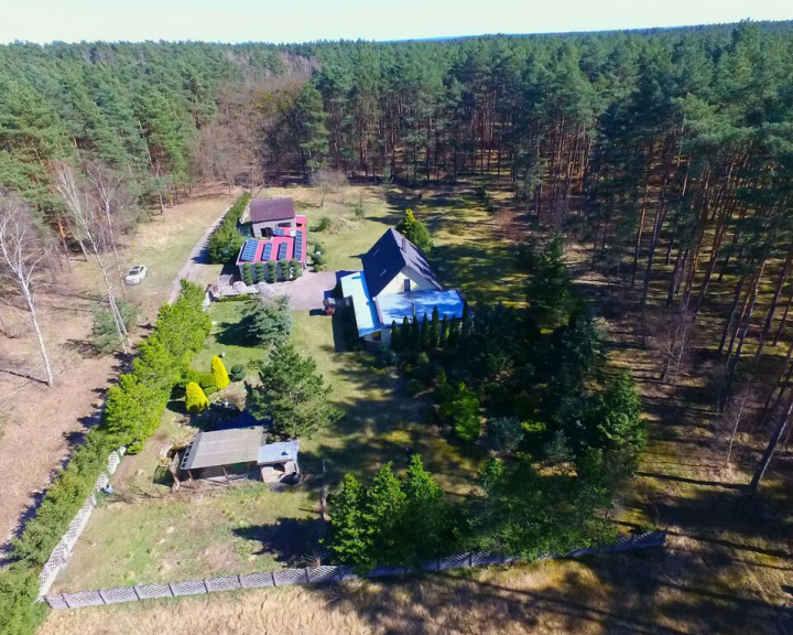 Dom Sprzedaż Borówno