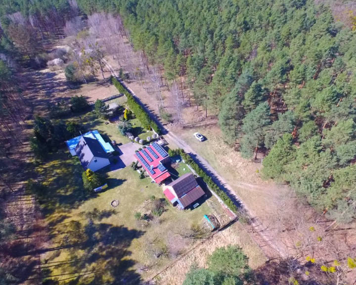 Dom Sprzedaż Borówno