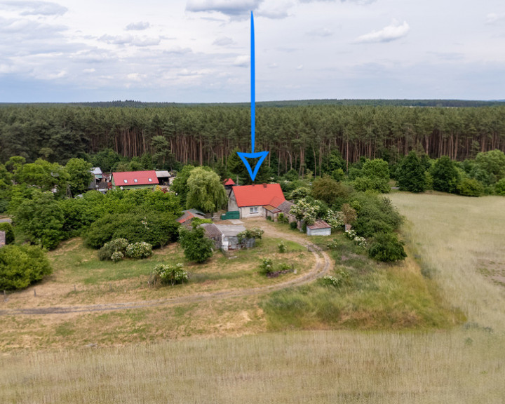 Dom Sprzedaż Mościce