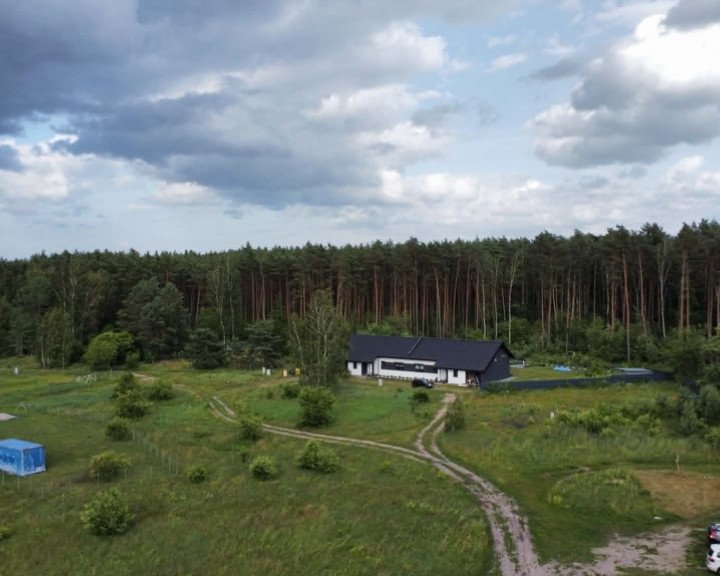 Działka Sprzedaż Skwierzyna Poziomkowa