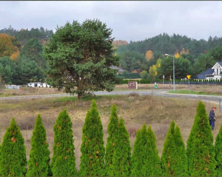 Działka Sprzedaż Jenin