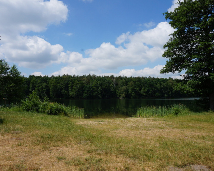 Działka Sprzedaż Parzeńsko