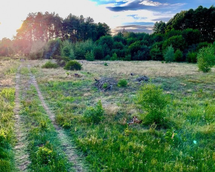 Działka Sprzedaż Gorzów Wielkopolski Zieleniec