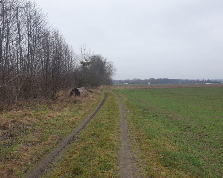 Działka Sprzedaż Gorzów Wielkopolski Zieleniec