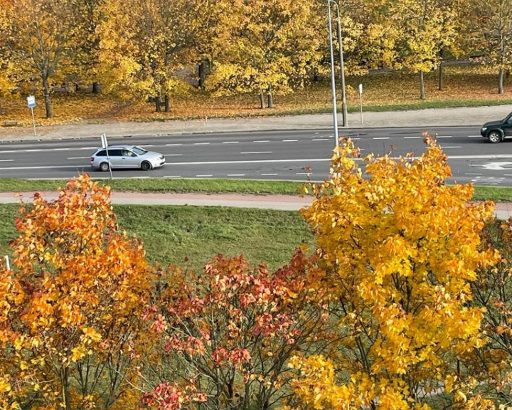 Mieszkanie Sprzedaż Gorzów Wielkopolski Górczyn