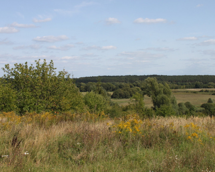 Działka Sprzedaż Chwalęcice