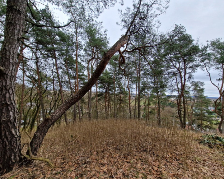 Dom Sprzedaż Gorzów Wielkopolski Wieprzyce