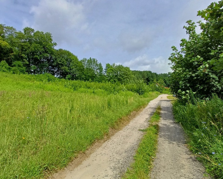 Działka Sprzedaż Jenin