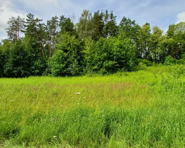 Działka Sprzedaż Jenin