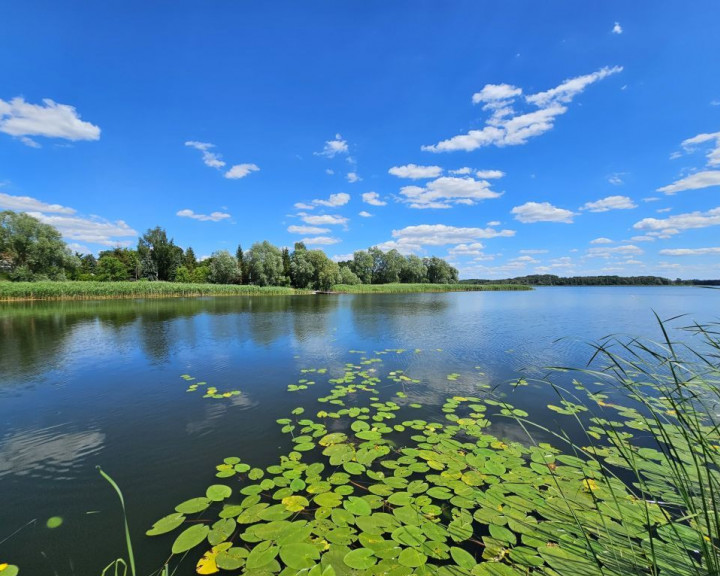 Dom Sprzedaż Kruszwin