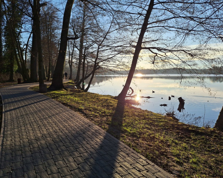 Mieszkanie Sprzedaż Lubniewice